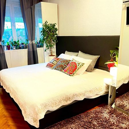 Margaret Bridge Best Spot Apartment Budapest Eksteriør bilde